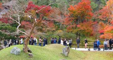 kodaiji temple in autumn